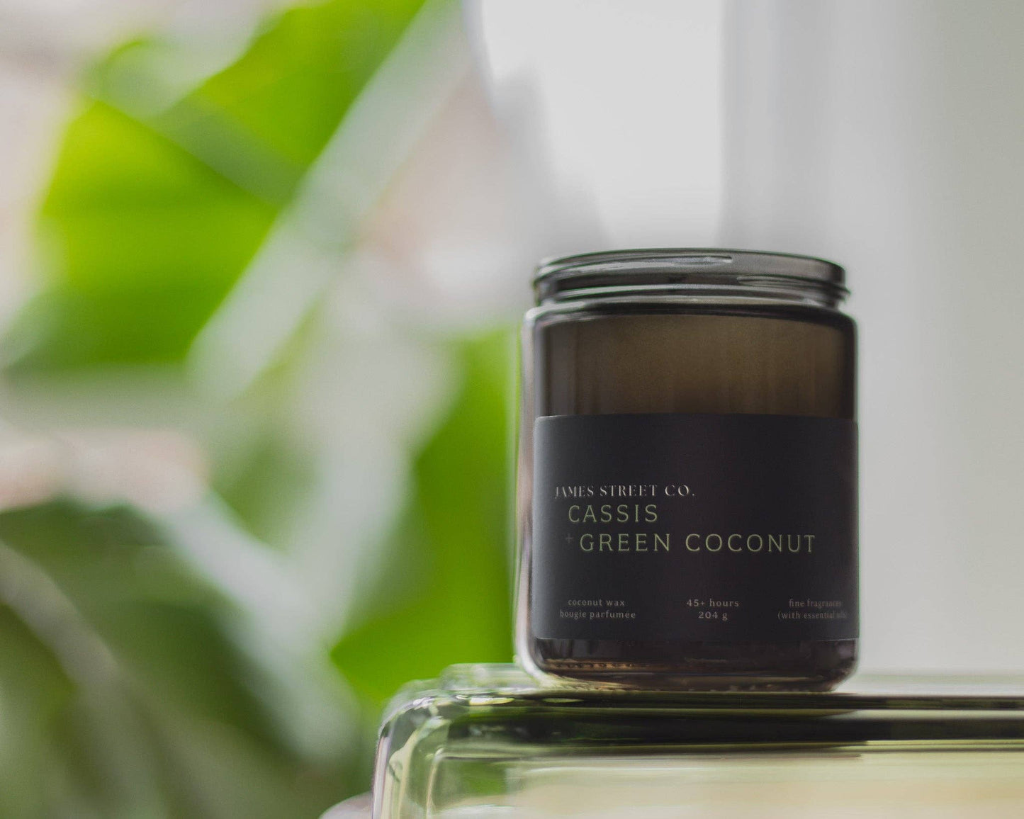 Cassis + Green Coconut 8oz Candle
