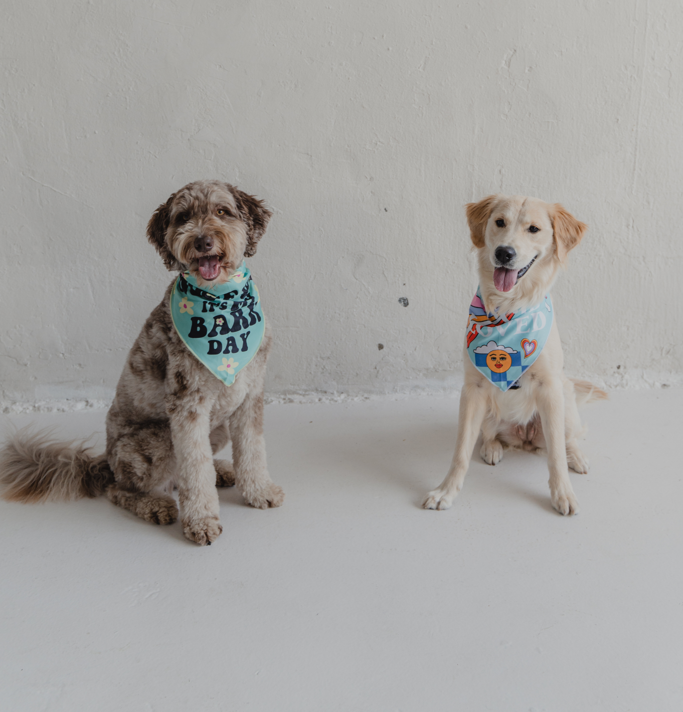 Rescued & Loved Cooling Dog Bandana