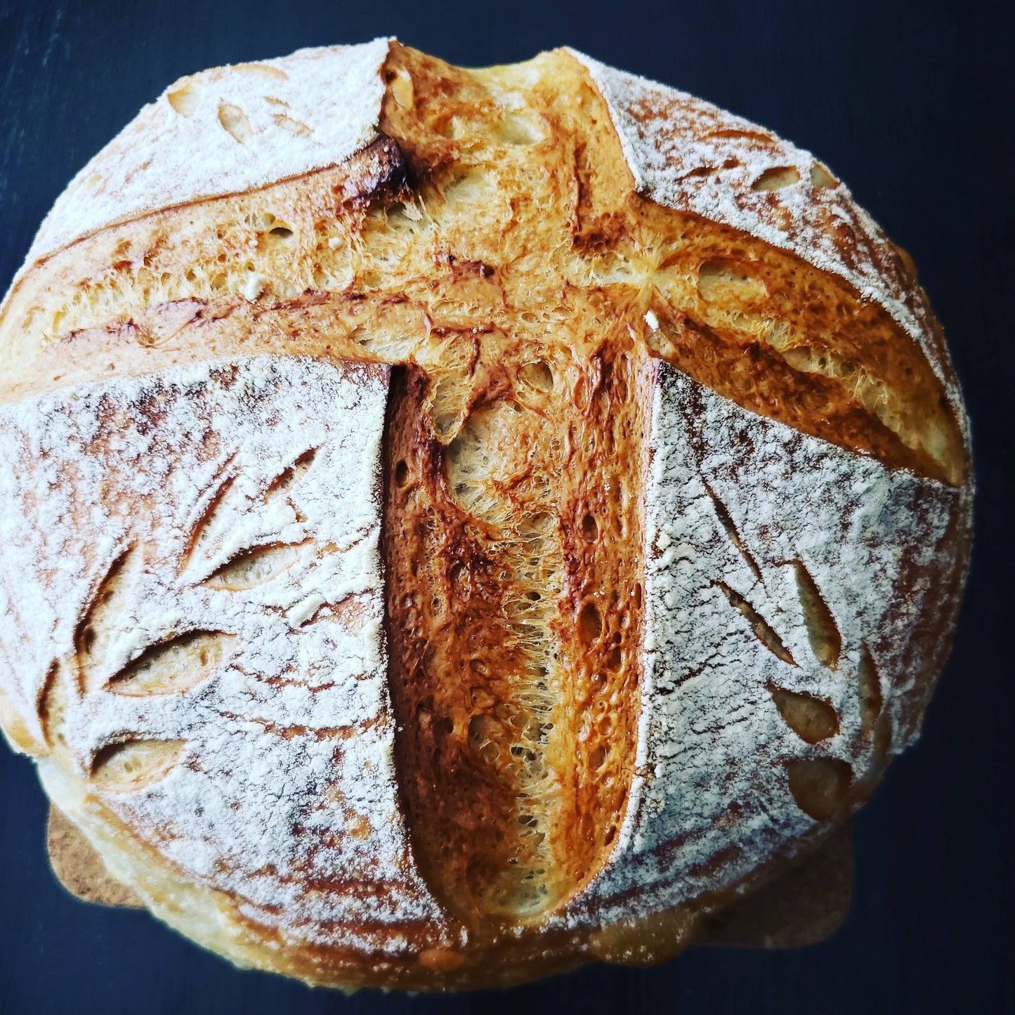 125 Year Old Summit Sourdough Starter Kit