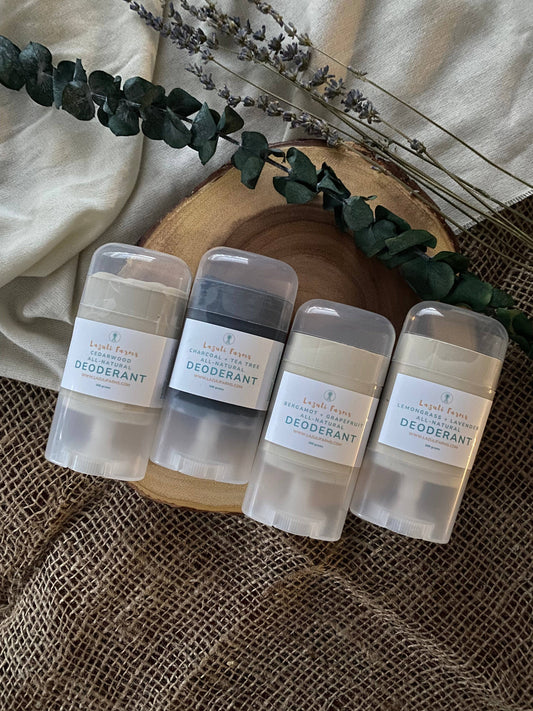 Tallow Deodorant | Charcoal and Tea Tree | With Arrowroot + Zinc + essential oils + beeswax | Baking Soda Free