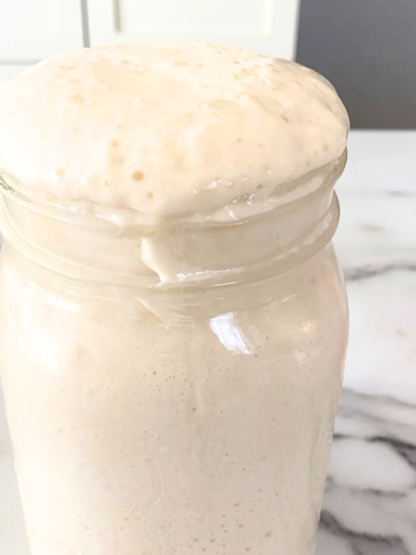 125 Year Old Summit Sourdough Starter Kit