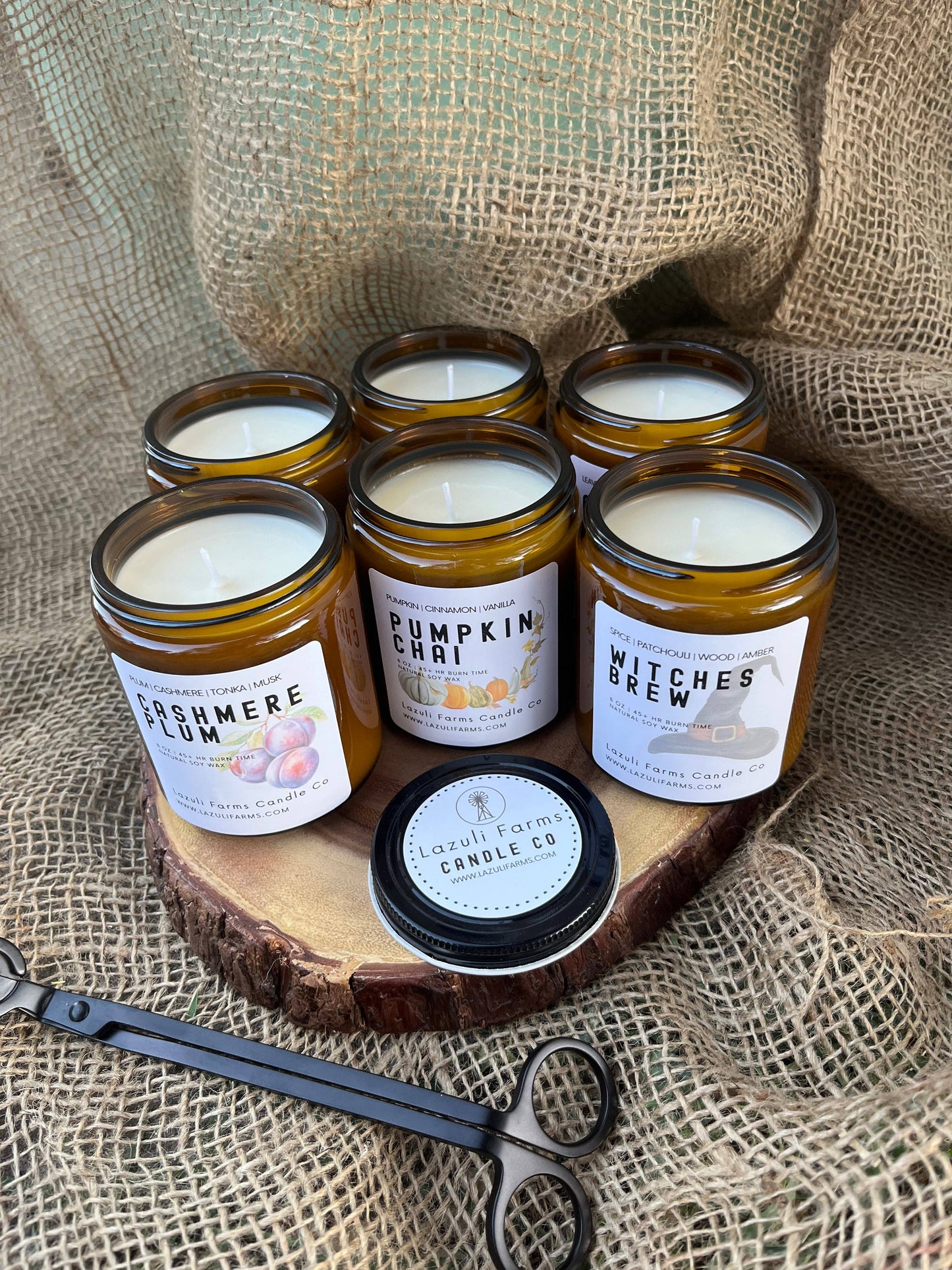 Chestnut Vanilla Candle | Fall Collection | Natural Soy Wax Candle | Chestnut Vanilla Birch