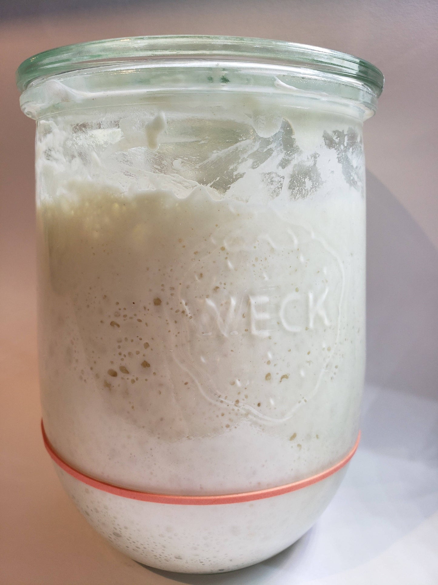 125 Year Old Summit Sourdough Starter Kit