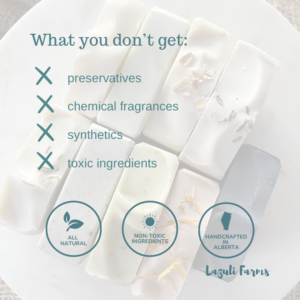 Tallow Deodorant | Bergamot & Grapefruit | With Arrowroot + Zinc + essential oils + beeswax | Baking Soda Free