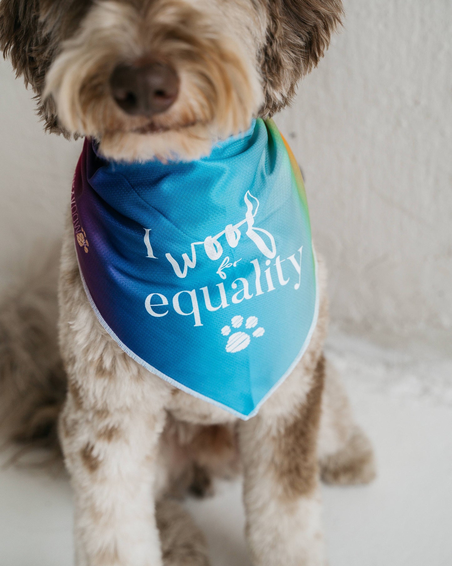 Bandana "I Woof For Equality"