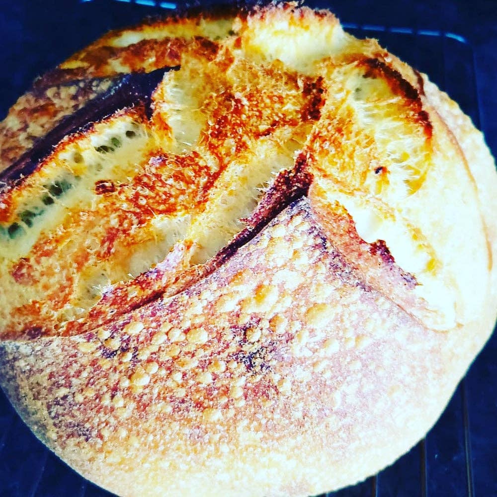 125 Year Old Summit Sourdough Starter Kit
