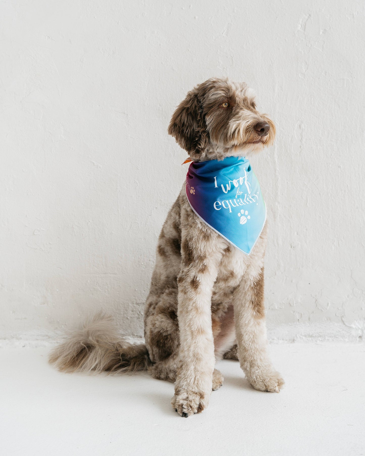 Bandana "I Woof For Equality"