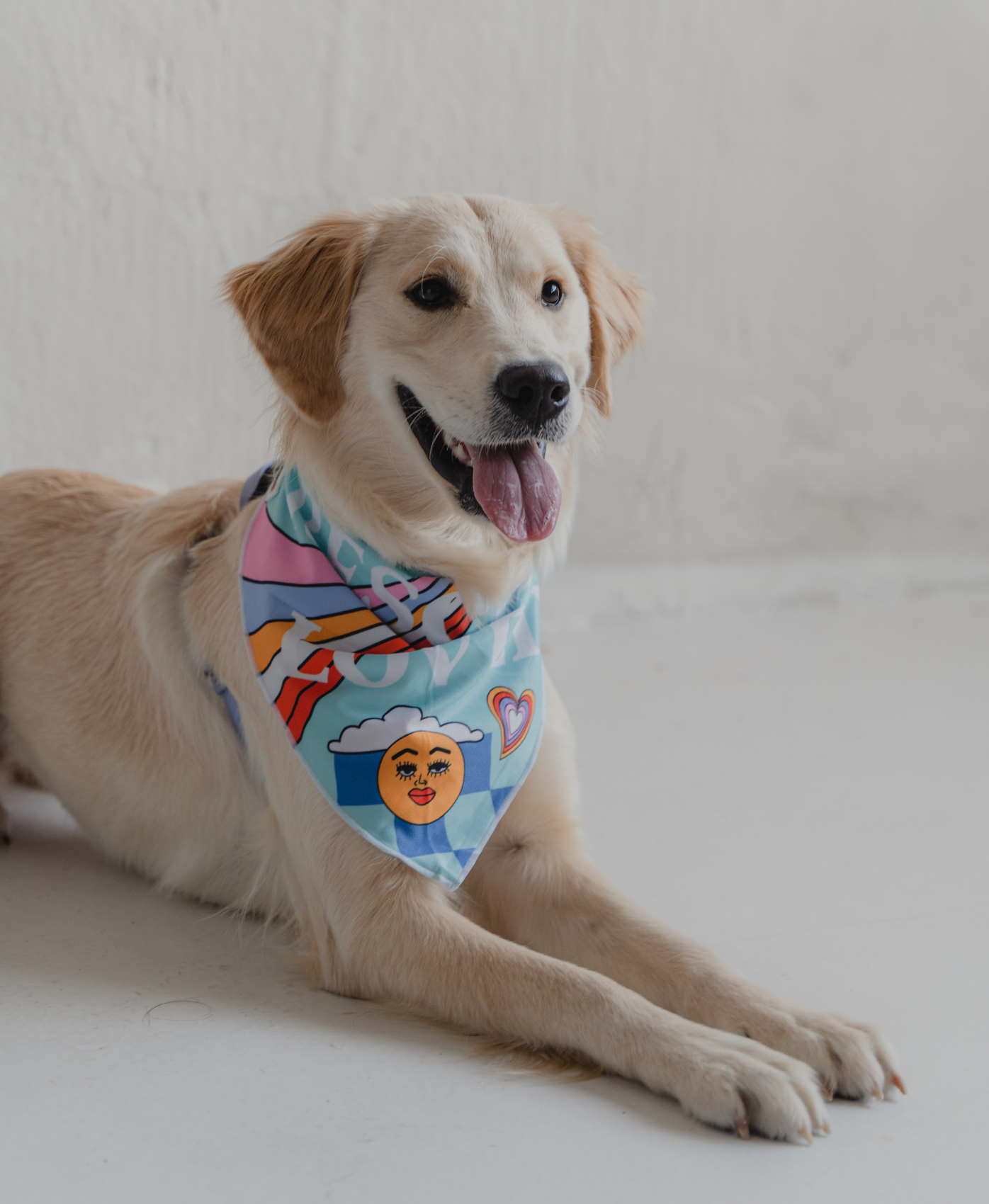 Rescued & Loved Cooling Dog Bandana