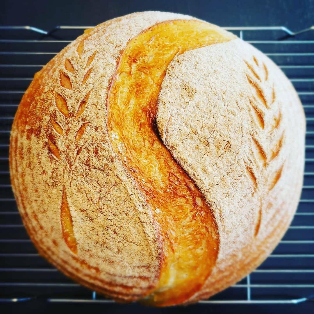 125 Year Old Summit Sourdough Starter Kit